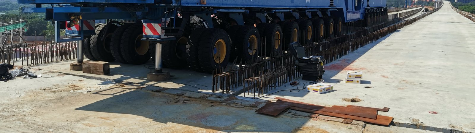 Axle group of a beam carrier showing the tyre lines