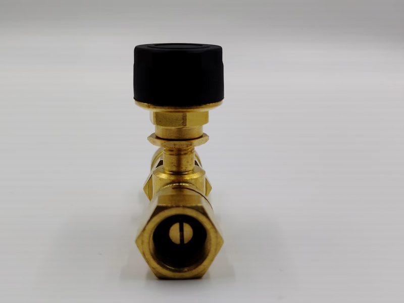 TS-100EV-12 external TPMS sensor with brass tee, 12V1 connection